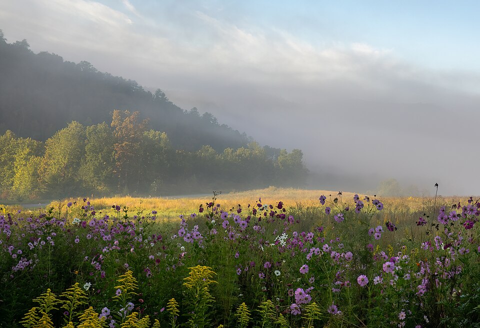 Smoky Mountains
